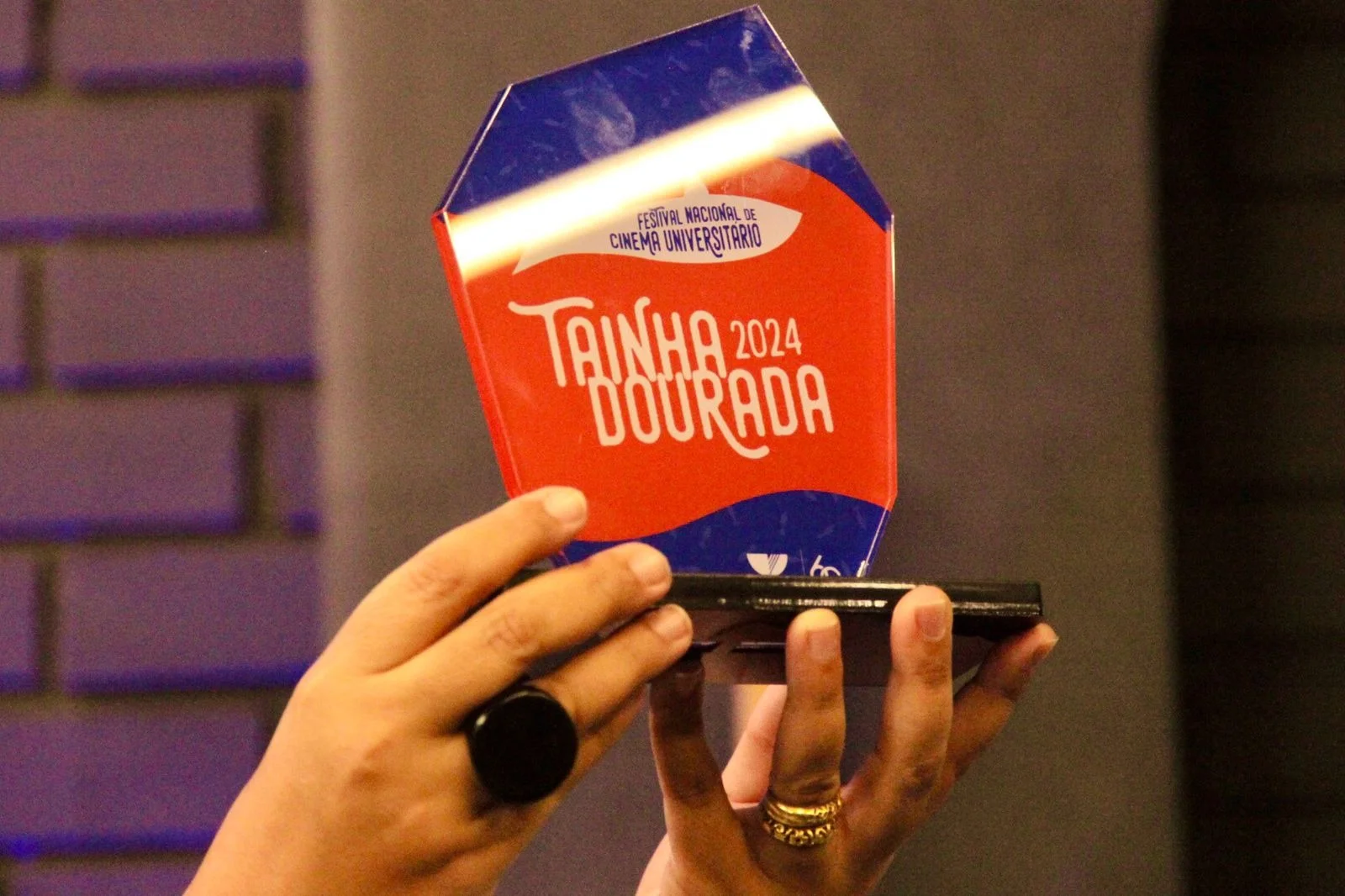 Foto: Divulgação/Festival Tainha Dourada