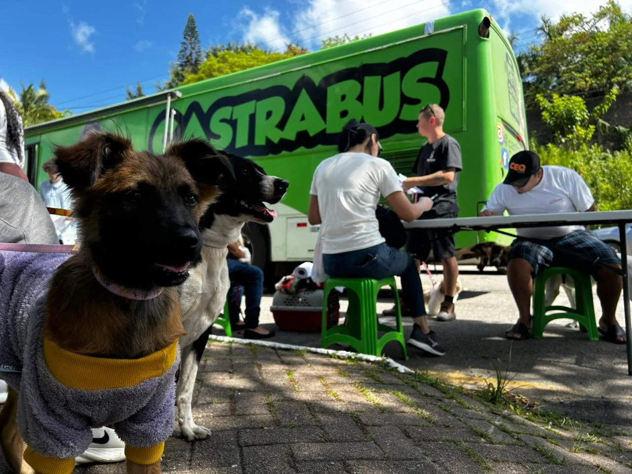 Foto: Divulgação/Prefeitura de Balneário Camboriú