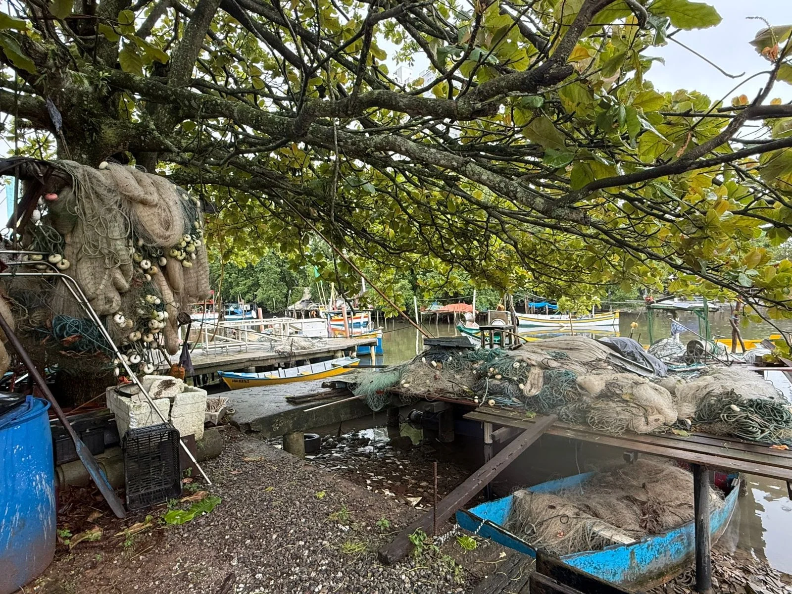 Foto: Divulgação/Acervo Histórico/Prefeitura de Balneário Camboriú