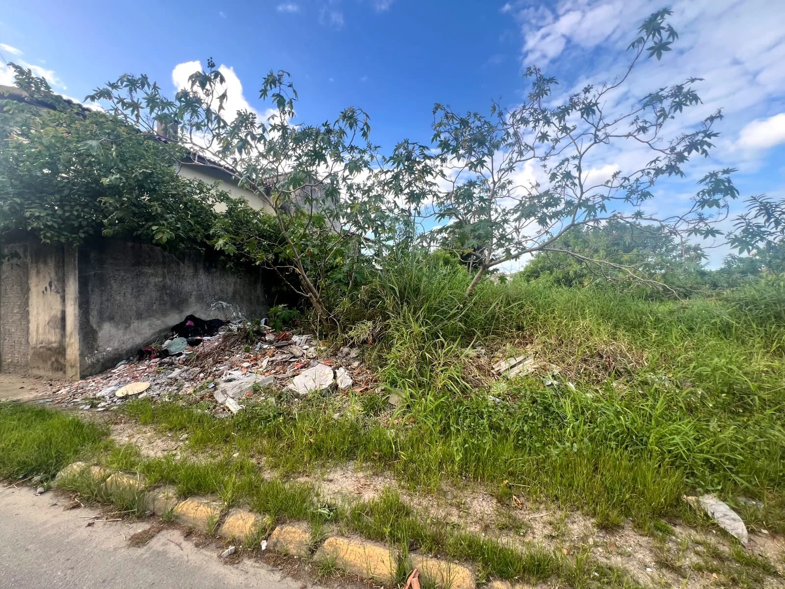 Camboriú dá 10 dias para limpeza de terrenos e calçadas