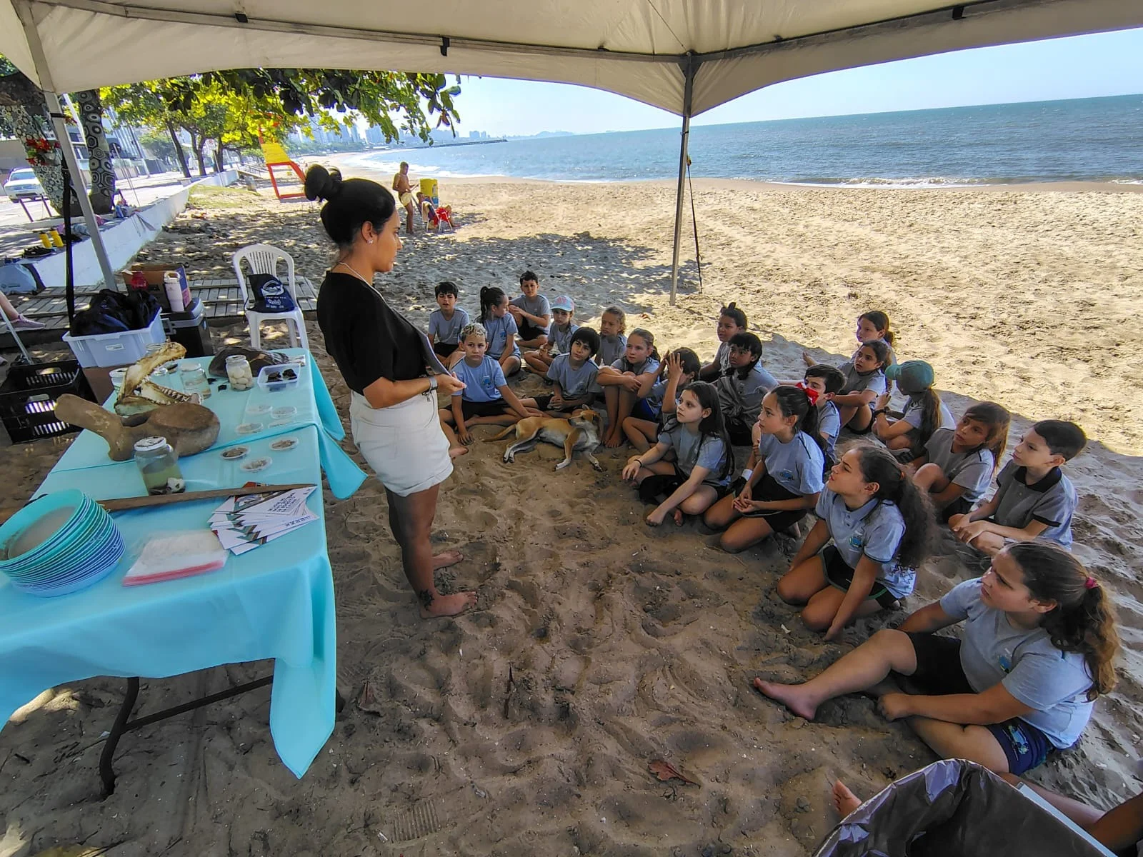 Balneário Piçarras promove atividades de educação ambiental na orla durante o mês de março