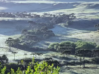 santa-catarina-pode-registrar-a-primeira-neve-de-2025-nesta-semana-santa-catarina-pode-registrar-a-primeira-neve-de-2025-nesta-semana